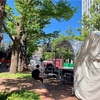7月8日(金) 2022 令和4年🐯文月(ふみづき)🌔6月10日
