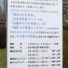 大隅桜お花見情報