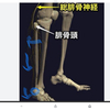 膝や足首が痛くなる、初期的理由