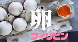 フィリピンの驚きの卵事情とは？珍味「バロット」や人気の卵料理もご紹介！