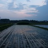 昨日の夕景＆三日間の独り言