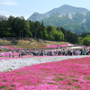 芝桜の丘