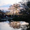 2014年春〜平安神宮・円山公園の夜桜