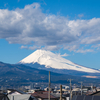 新雪に映える