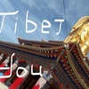 チベット語しかやりたくない人が一年間で何を為したのか2020