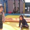 　大根の地