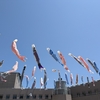 おっきなすべりだい
