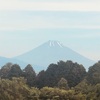今朝の景色