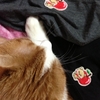 ヒートテックとねことねこ！！