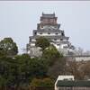 くまのドッグスリングデビュー★再チャレンジしよう！