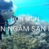 8 Games Unique Underwater Feeling In Nha Trang