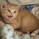 Arazinのパチスロ、パチスロ辞めて何する？blog