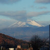 シティギャラリー周辺散歩　斑模様の浅間山・何の花？・今朝の空