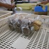 クッキーの袋詰め　ブルーベリーの選別