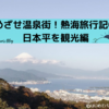 めざせ温泉街！熱海旅行記① ～名古屋から日本平で昼ご飯～