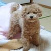 ２歳