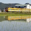 明日の近江鉄道 （5/31の運用予想)