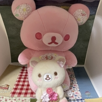 🌸 闘病ブログ：病室という“もうひとつの世界”