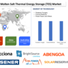 2028年までの現在のシェア、サイズ、傾向、予測を含む溶融塩熱エネルギー貯蔵（TES）市場の最新レポート