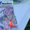 【釣り初心者奮闘記】今日も釣れなかった、けど、、