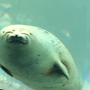 目指すところは、いい塩梅