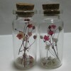 kasumi grass mini bottle W