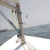 4月28日　ヨットのトレーニング　ILCA6