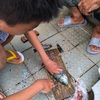 暮らすように旅をする-2024沖縄 ③お宿と魚釣り