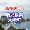 鹿児島県 大崎町のふるさと納税の返礼品は優美豚じゃなくてウナギ長蒲焼、アイスプリン　カタラーナ　諸木の桑抹茶　口コミ多数でした。