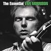 「ブラウン・アイド・ガール（Brown Eyed Girl）」ヴァン・モリソン（Van Morrison）（1967）