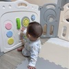 【0歳7ヶ月】ハイハイと伝い歩きを同時習得するベビー