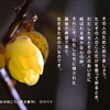こころの道しるべ（253）最後の希望