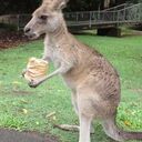 ポッター教育研究所