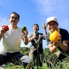 【MARCHE】茂木ゆうきの会　【出店者紹介⑬】
