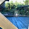 ナガコガネグモ観察記・その１