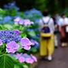 「梅雨の箱根」はひと味違う…雨でも気分上々！？