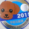 狂犬病接種とチョコパイ
