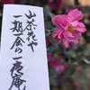 半世紀ぶりに教え子に遇う