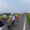 今日は大阪自転車協会主催のぶどう狩りサイクリングに参加した