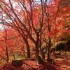 桜山（武雄市）　……市街地に近い低山ながら、奇岩と紅葉が美しい隠れた名山……