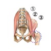 腸腰筋の原因由来の腰痛