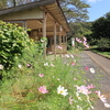 風ニモマケズ…動き続ける鉄道を追って　(2)小湊鐵道・上総牛久～上総中野