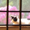 穏やになった花金です。