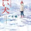 初めての経験