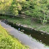 5月1日(木)秩父フライフィールドの河川情報