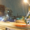 東京はすごい雪でした、という記録