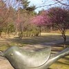 三好ヶ丘公園に春到来