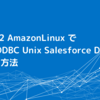 AWS EC2 AmazonLinux で CData ODBC Unix Salesforce Driverを利用する方法