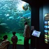 バイクで訪園館：市立しものせき水族館 海響館