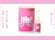 春を感じるお酒をお探し中の方へ。桃色が美しい日本酒「五橋 ride? PINK 純米大吟醸 桃色にごり」